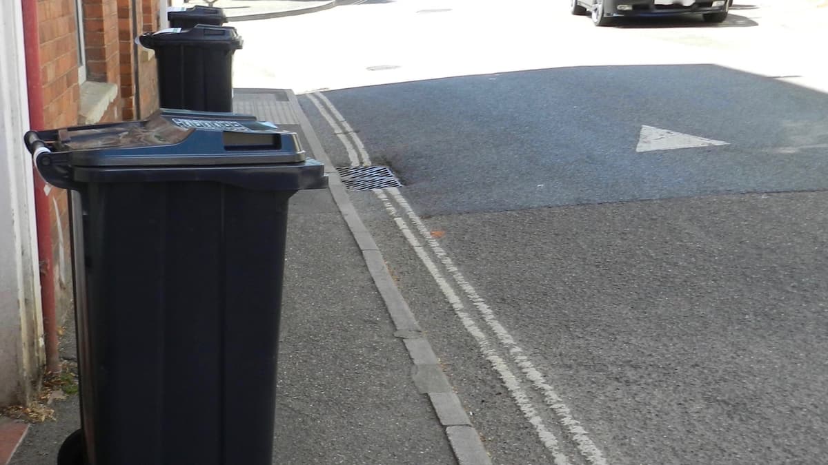 BinIt 123 service sees improvements in recycling rates for Mid Devon